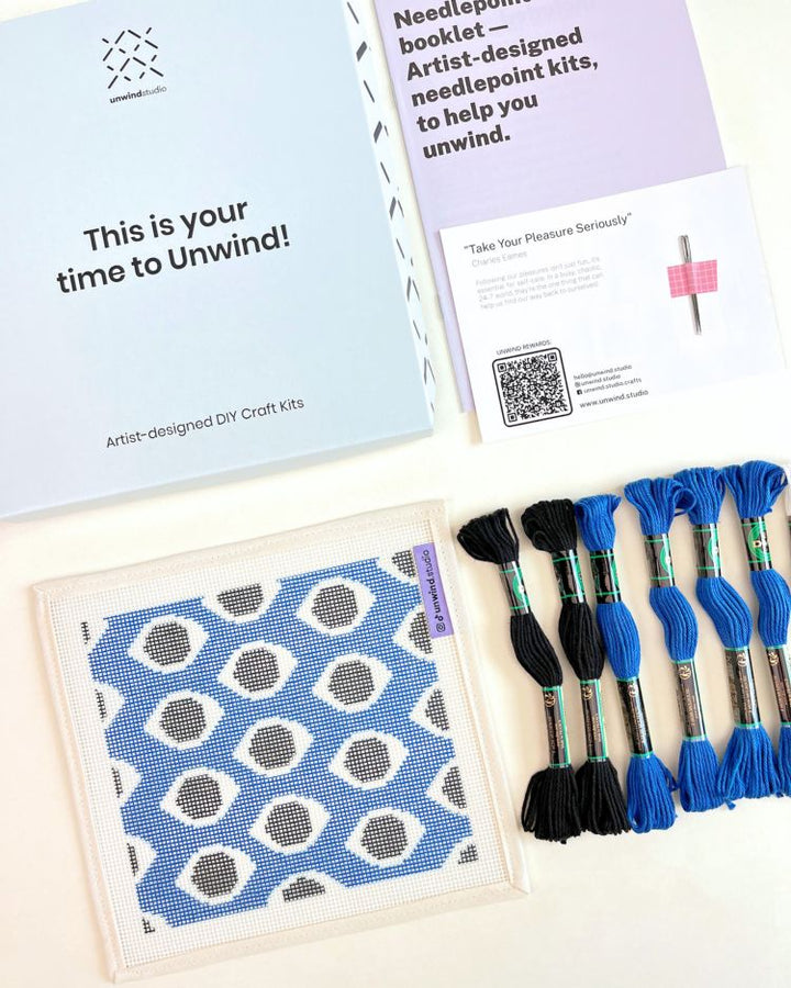 All Eyes On You Sunglasses Case Needlepoint Embroidery Kit