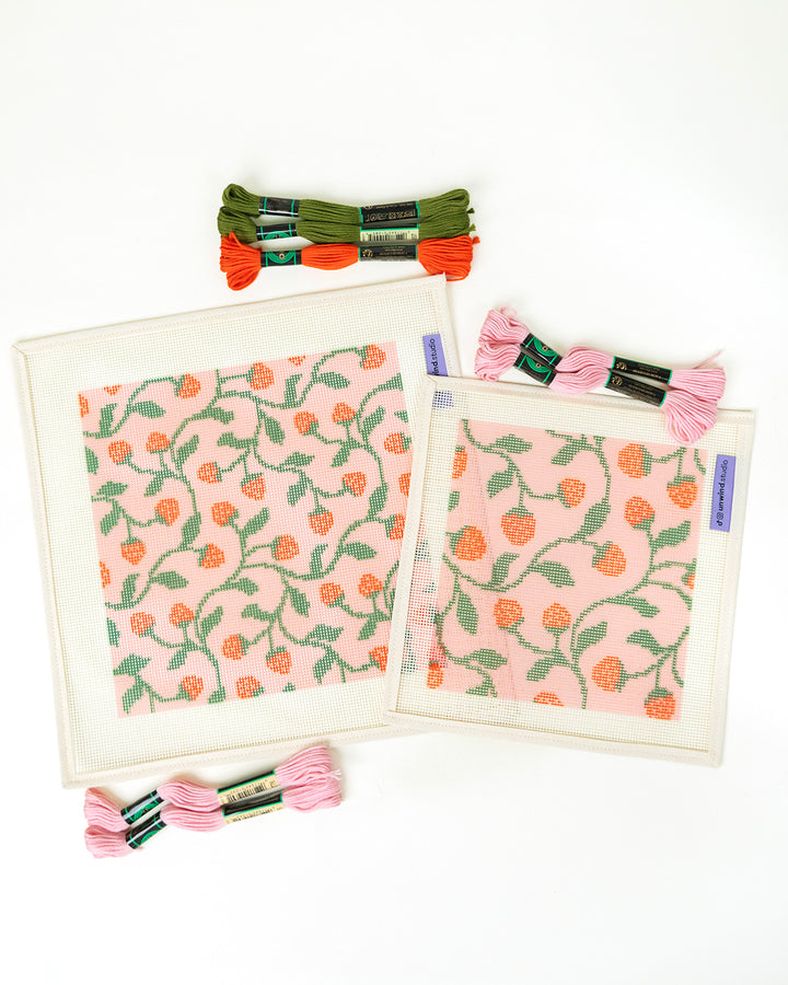 Strawberries Needlepoint Kit