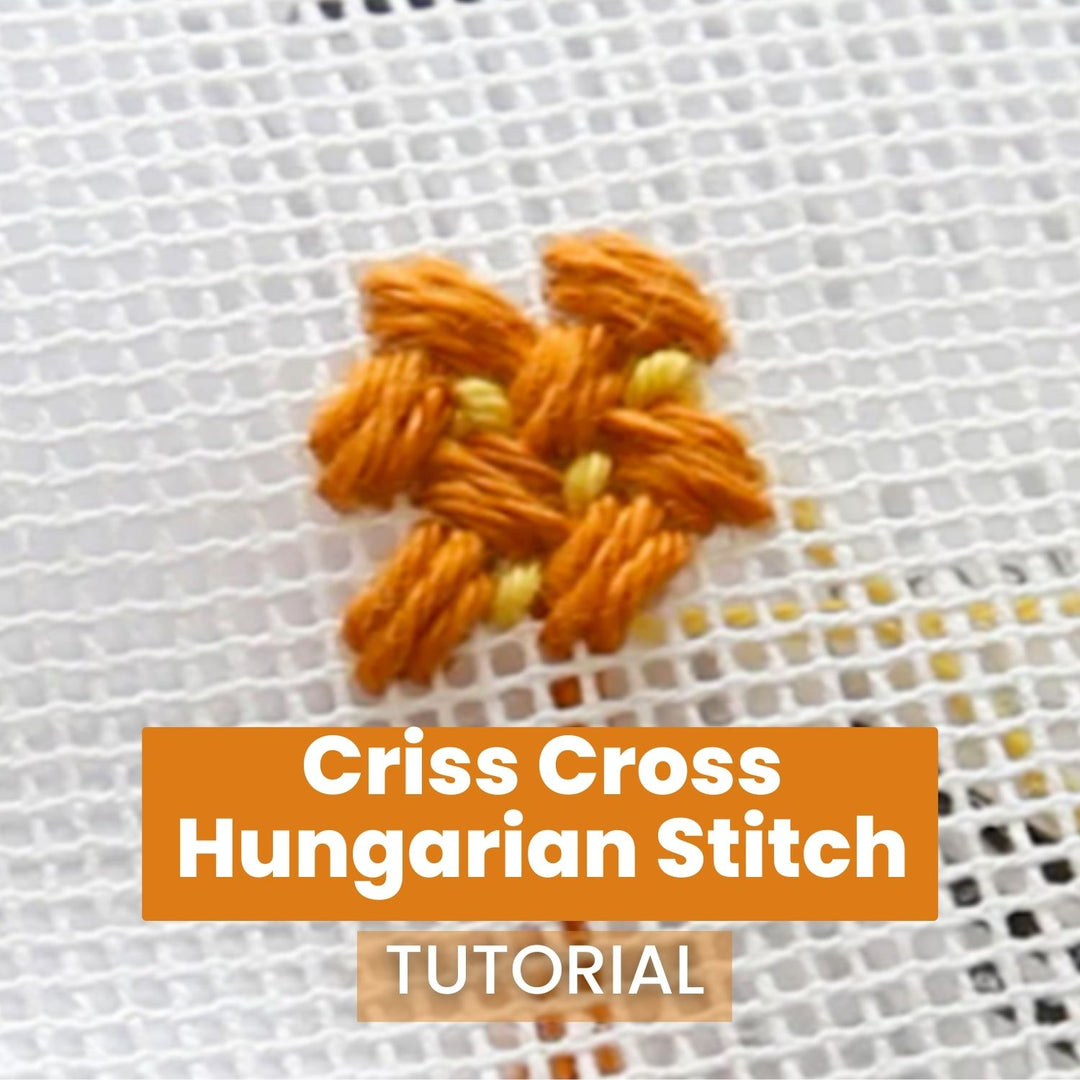 Criss Cross Stitch Needlepoint How To Tutorial