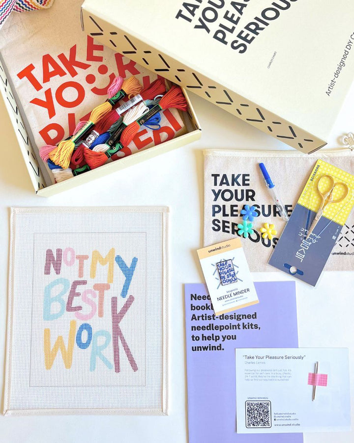 NEEDLEPOINT STARTER KIT "Not My Best Work"