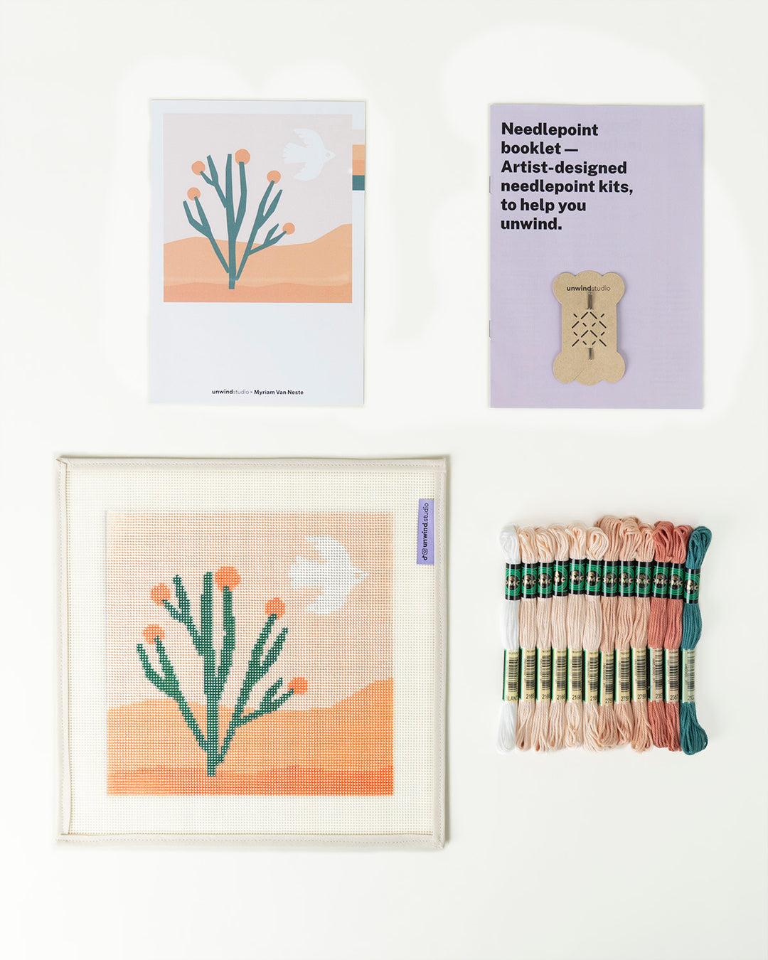 Canevas pour débutants - Scène de cactus du désert