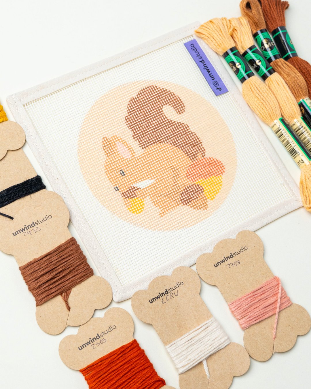 Kit de canevas de décoration Écureuil et glands