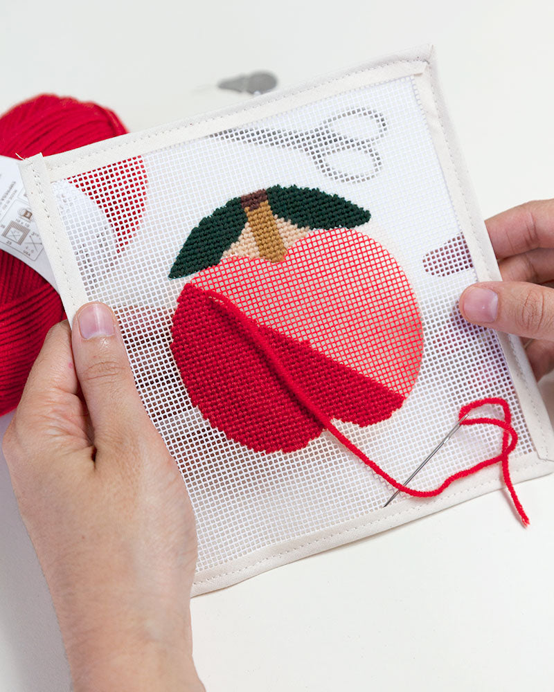 Needlepoint kits for sales beginners